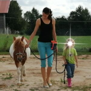 Shetlandpony Lexi