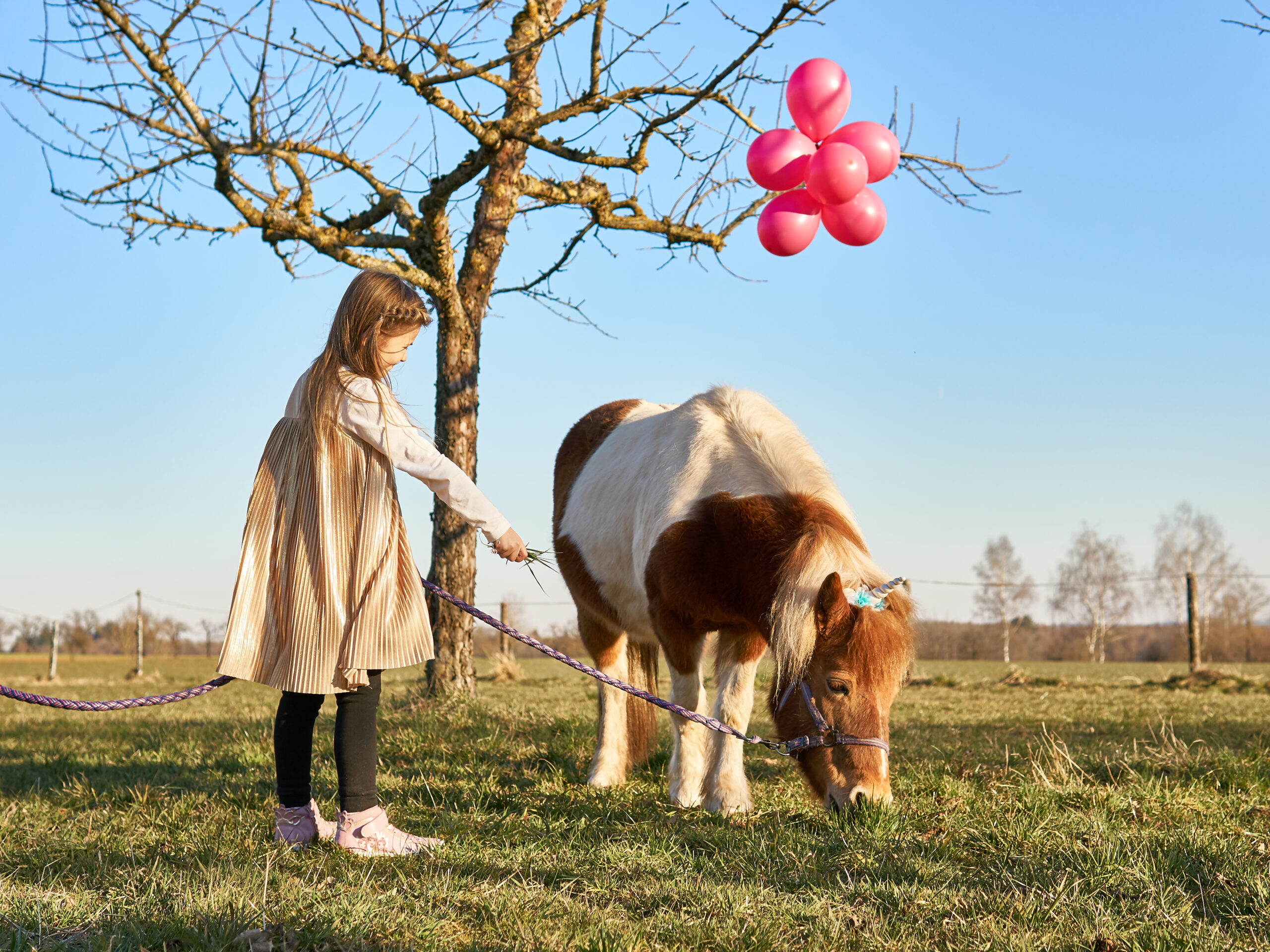 Kindergeburtstag