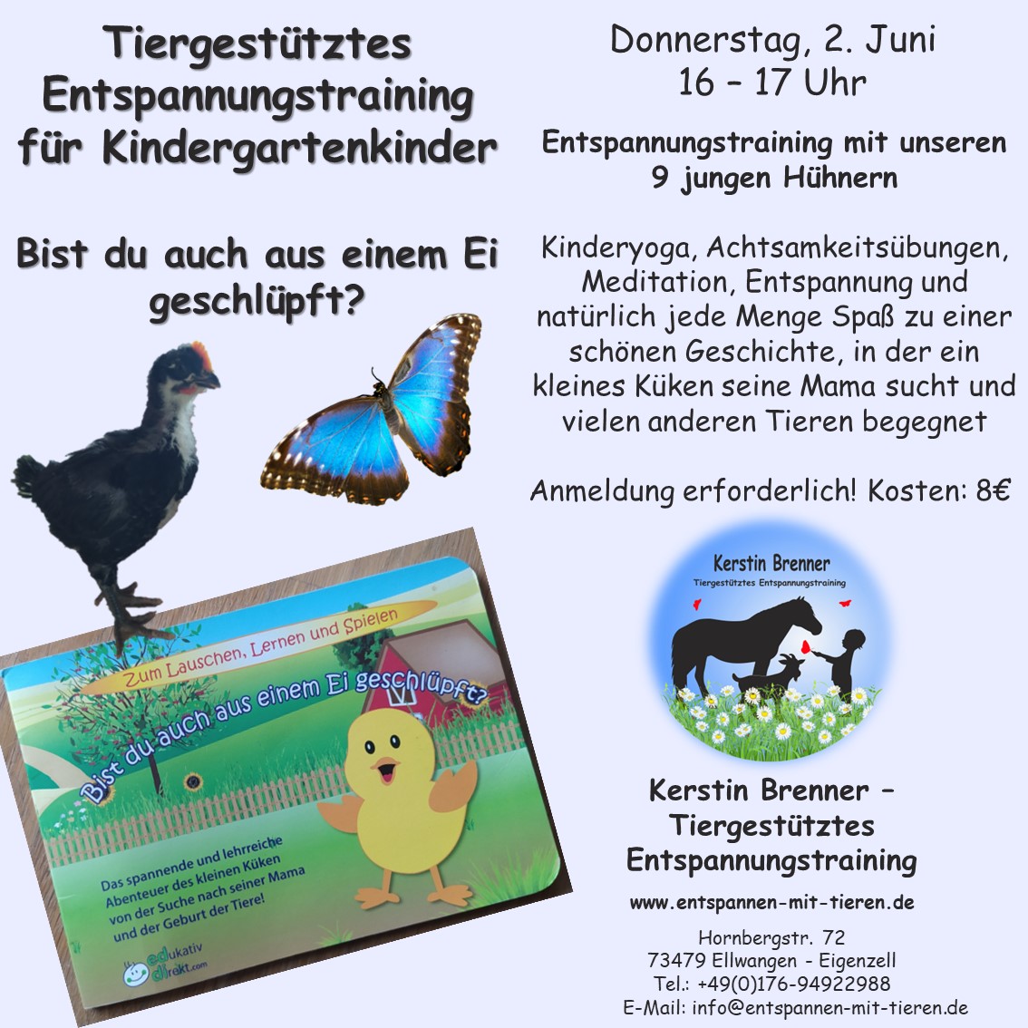 TE_Kindergarten_5Stunden_Küken