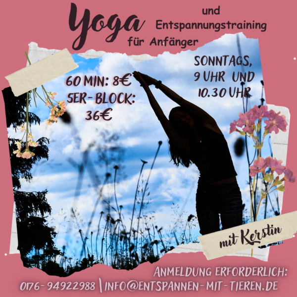 Yoga und Entspannungstraining für Anfänger mit Kerstin